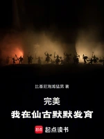完美：我在仙古默默发育