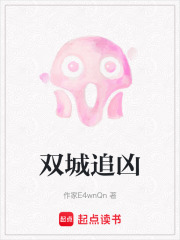 双城追凶在线阅读