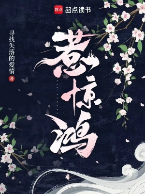 惹惊鸿封面