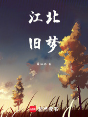 江北旧梦在线阅读