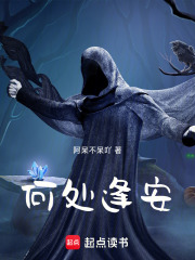 何处逢安在线阅读