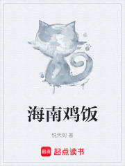 海南鸡饭在线阅读
