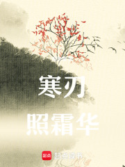 寒刃照霜华在线阅读