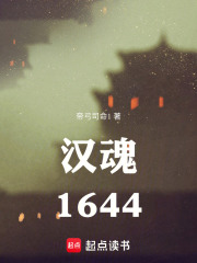 汉魂1644