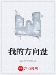 我的方向盘