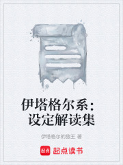 伊塔格尔系：设定解读集在线阅读