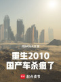 重生2010，国产车杀疯了在线阅读