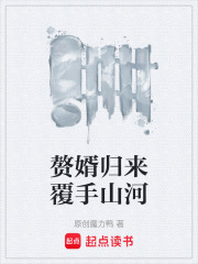 赘婿归来覆手山河