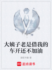大姨子老是借我的车开还不加油在线阅读