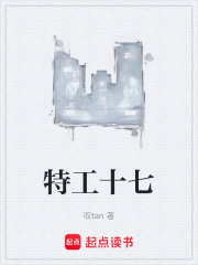 特工十七