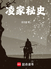 凌家秘史在线阅读