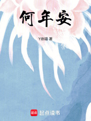 何年安在线阅读