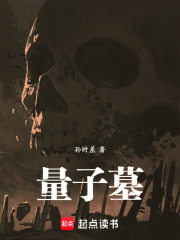 量子墓在线阅读