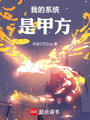 我的系统是甲方在线阅读