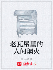 老瓦屋里的人间烟火在线阅读