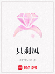 只剩风在线阅读