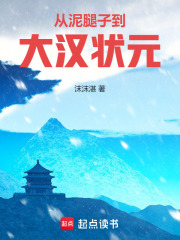 从泥腿子到大汉状元