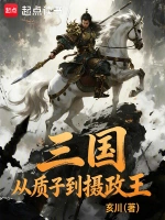 三国：从质子到摄政王