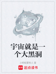 宇宙就是一个大黑洞在线阅读