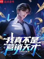 我真不是营销天才封面