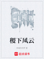 稷下风云封面