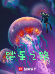踏星之路在线阅读