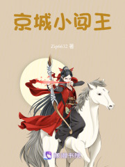 京城小闯王在线阅读