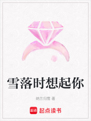 雪落时想起你