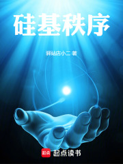硅基秩序在线阅读