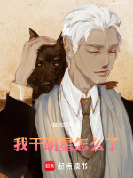 我干明星怎么了封面