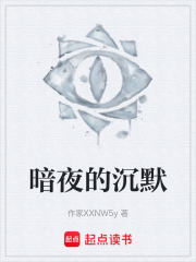 暗夜的沉默在线阅读