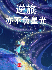逆旅亦不负星光在线阅读