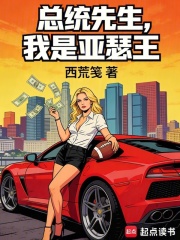 总统先生，我是亚瑟王