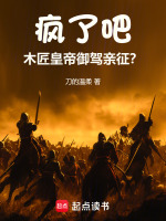 疯了吧！木匠皇帝御驾亲征？在线阅读
