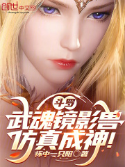 斗罗：武魂镜影兽，复制成神！在线阅读