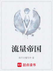 流量帝国在线阅读