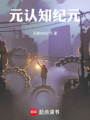 元认知纪元在线阅读