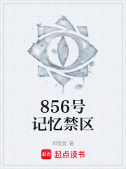 856号记忆禁区在线阅读
