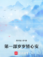 第一部岁岁皆心安最新章节在线阅读