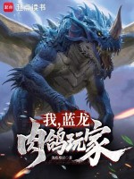我，蓝龙，肉鸽玩家在线阅读