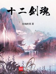 十二剑魂在线阅读