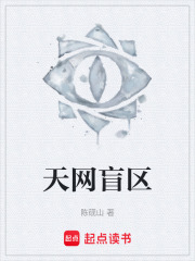 天网盲区在线阅读