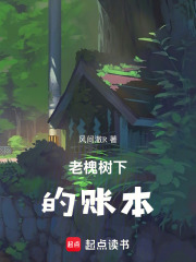 老槐树下的账本