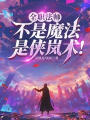 全职法师：不是魔法，是侠岚术！