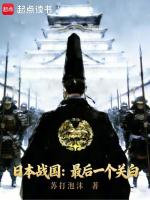 日本战国：最后一个关白封面