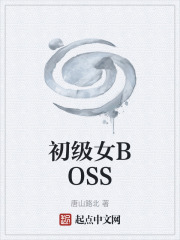 初级女BOSS在线阅读