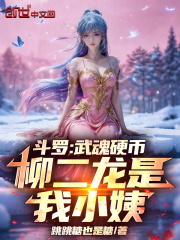 斗罗：武魂硬币，柳二龙是我小姨