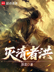 灭清者洪在线阅读