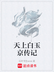 天上白玉京传记