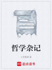 哲学杂记在线阅读